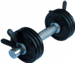 Cast iron dumbbell