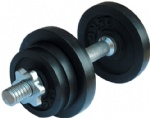 Cast iron dumbbell