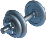 Cast iron dumbbell