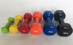 vinyl dumbbell